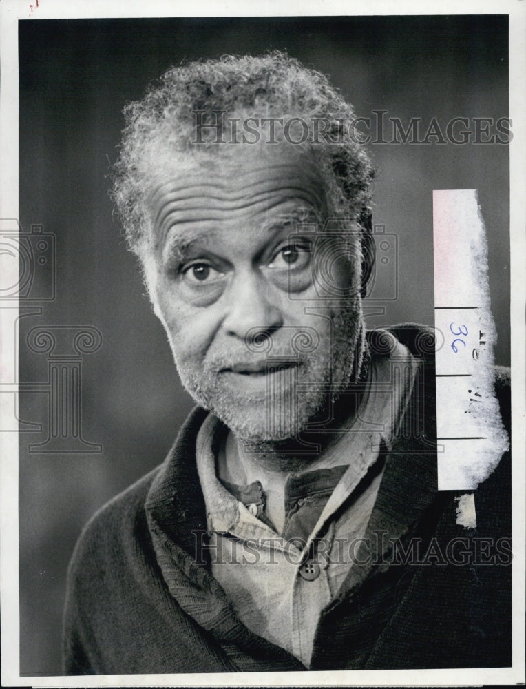 1978 Robert Earl Jones in "Lou Grant" - Historic Images