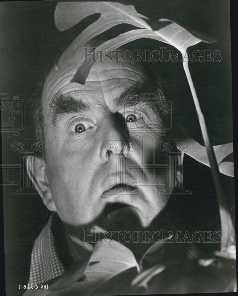 1964 Press Photo Actor Robert Morley in TopKapi - Historic Images