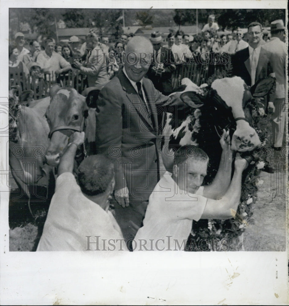 1955 President Eisenhower inspect cow at Vermont Dairy Festival - Historic Images