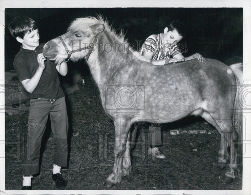 1967 King, the unsung hero of Tony & Jeff Wittemore - Historic Images