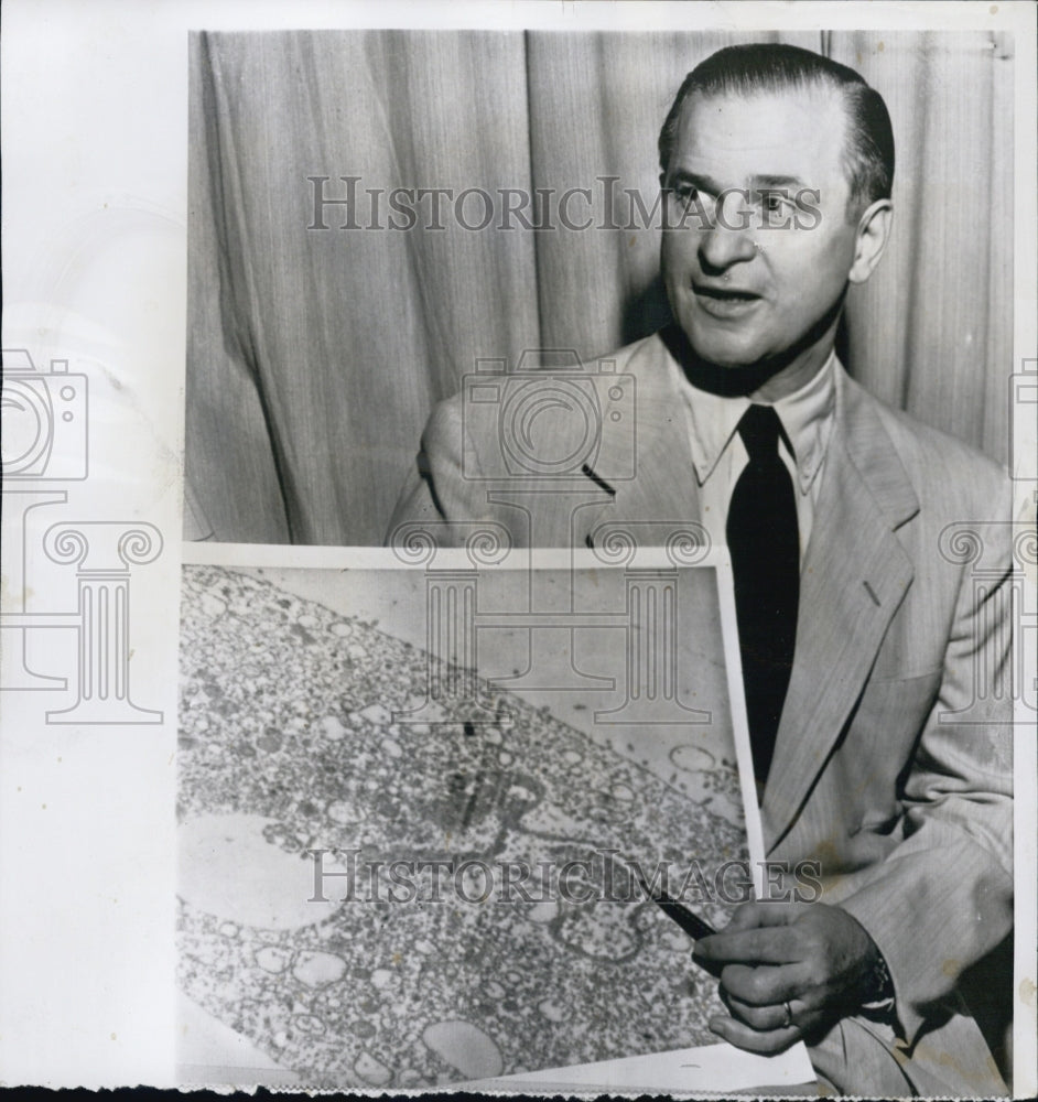 1955 Press Photo Dr. Herman E. Hilleboe New York State Health Commissioner - Historic Images