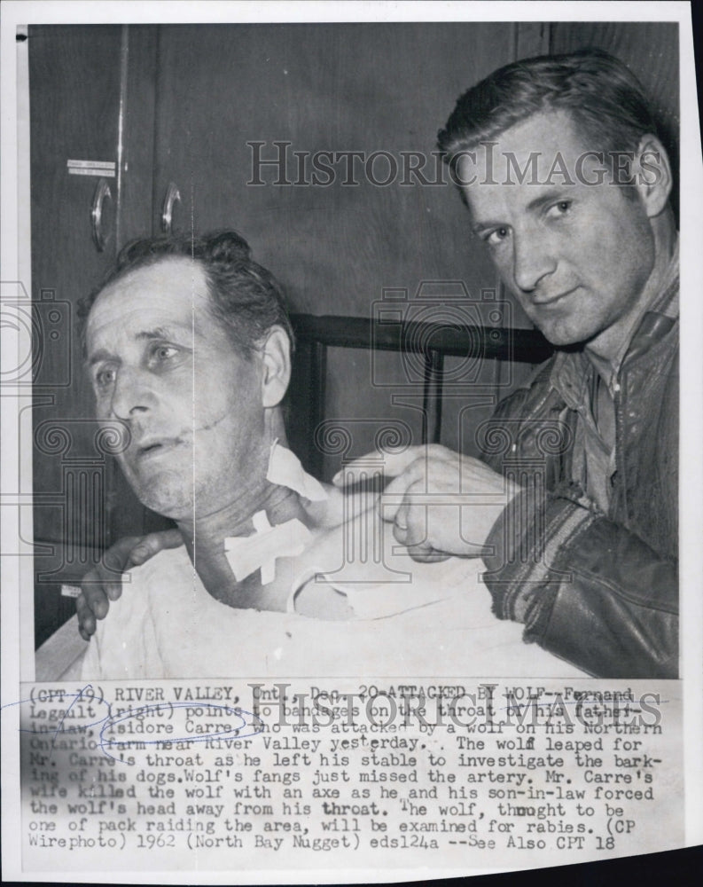 1962 Fernand Legault & attacked by wolf father-in-law Isidore Carre - Historic Images