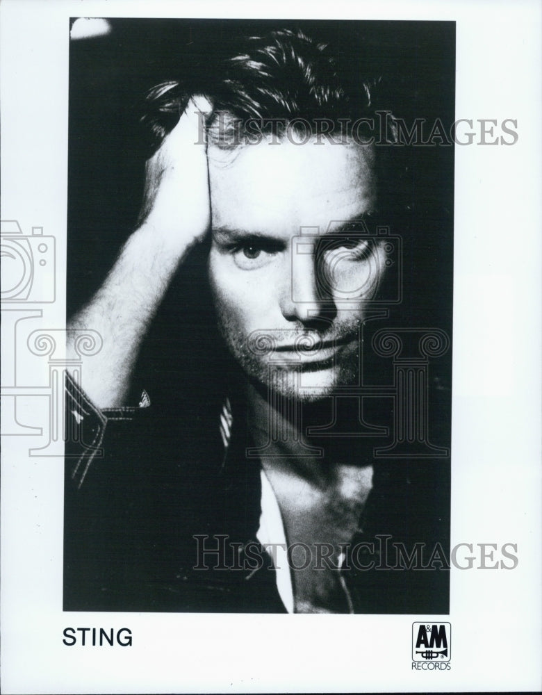 1991 Press Photo Gordon Matthew Thomas Sumner AKA Sting - Historic Images