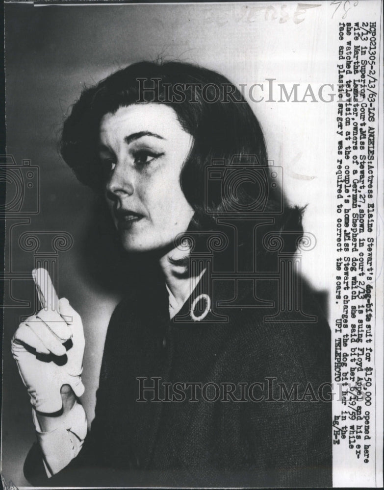 1963 Press Photo Actress Elaine Stewart&#39;s Dog-Bite Suit for $150,000 - Historic Images