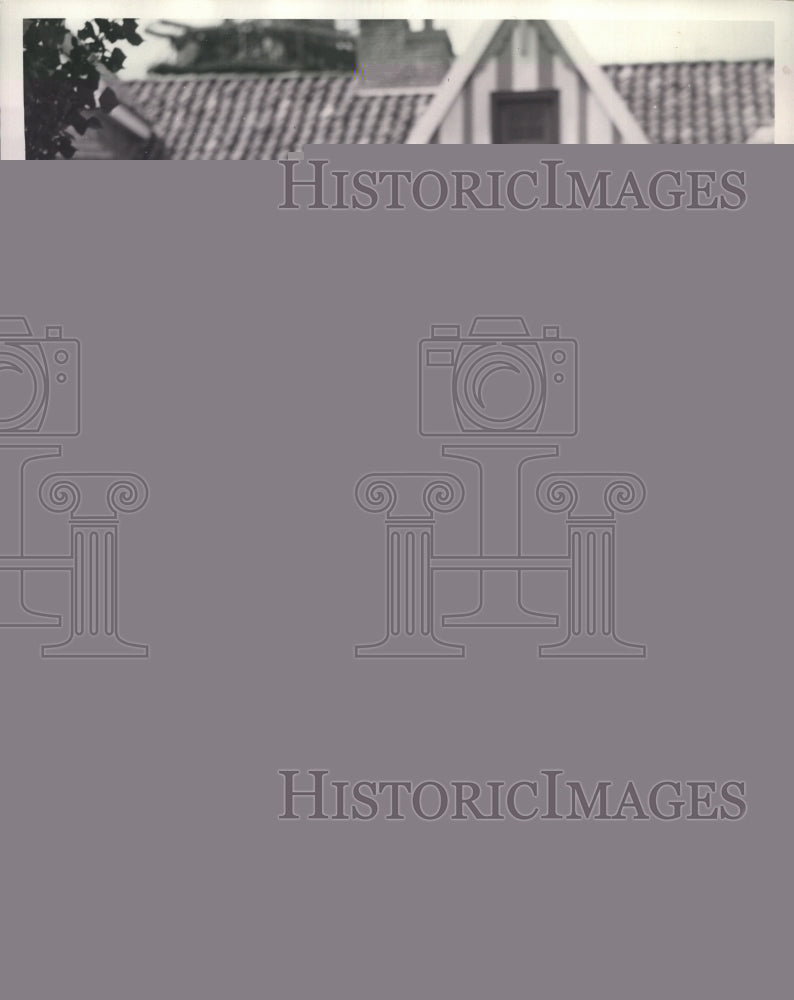 1933 Press Photo Holland Dutch Village in Particular is Jay Orear - Historic Images