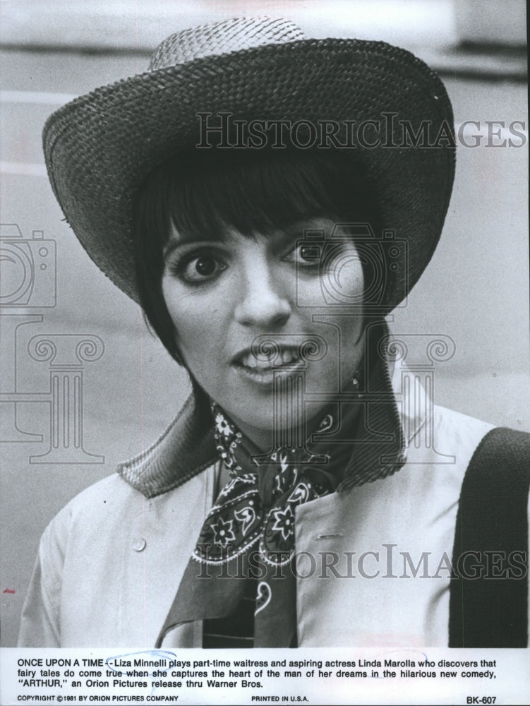 1981 Press Photo Liza May Minnelli Plays Actress Starring in &quot;Arthur&quot; - Historic Images