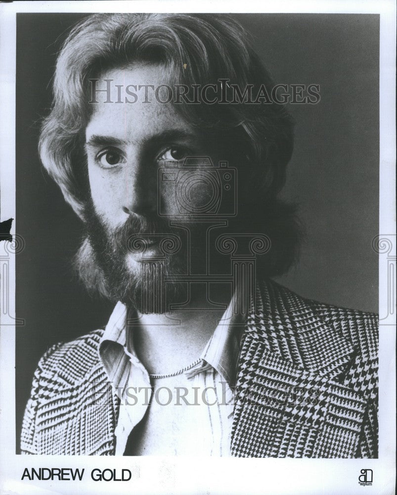 1977 Press Photo Andrew Gold American singer, musician and songwriter - Historic Images