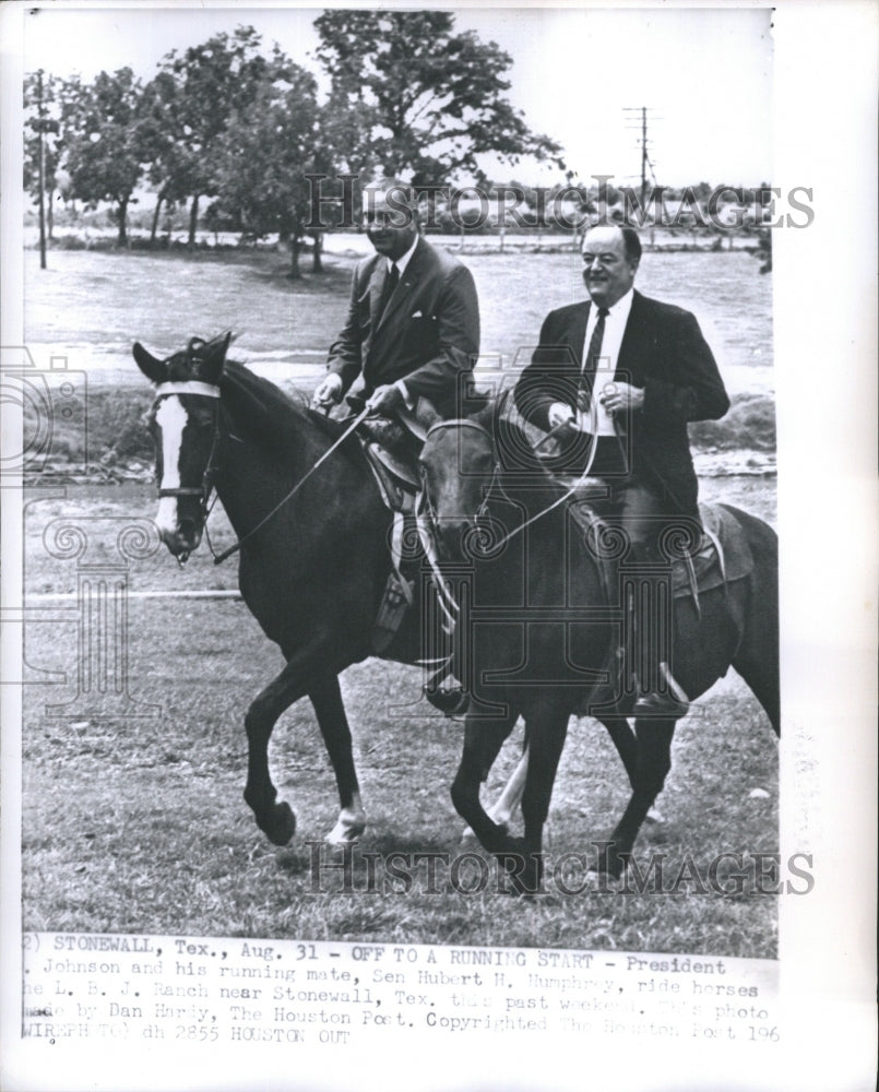 1965 Press Photo President Johnson and His Running Mare Sen. Hubert - Historic Images