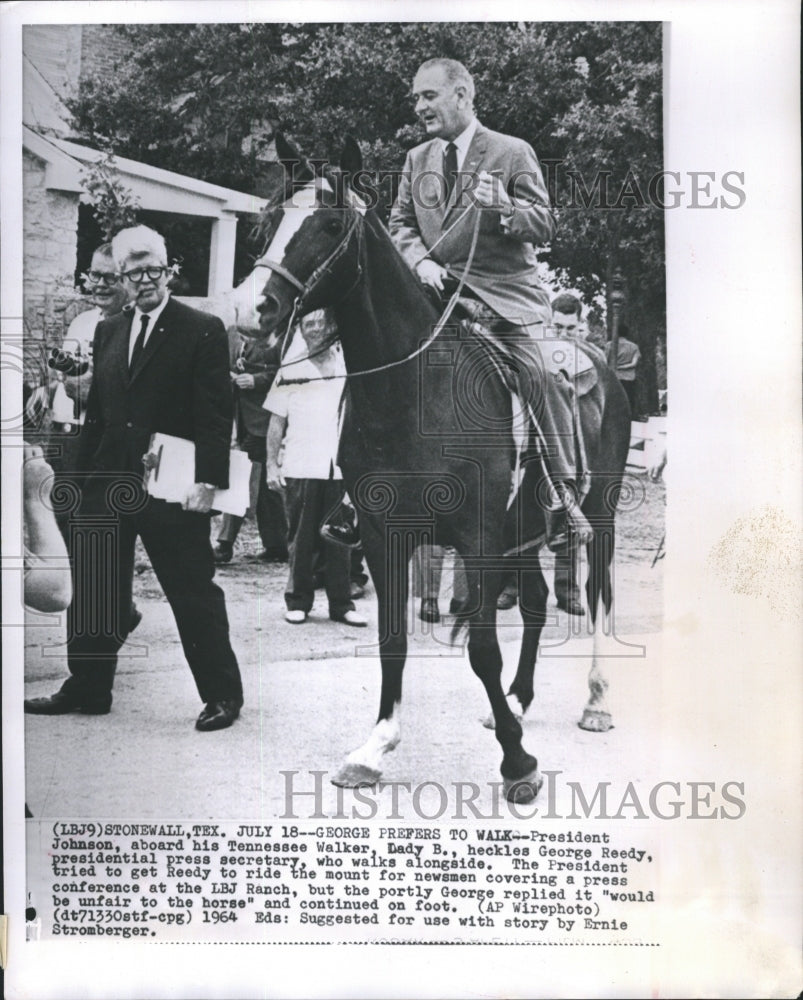 1964 Press Photo President Johnson, Aboard His Tennesses Walker Dady B, Heckless - Historic Images