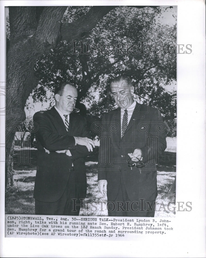 1964 Press Photo President Lyndon B. Johnson Talks His Running Mare Sen. Hubert - Historic Images