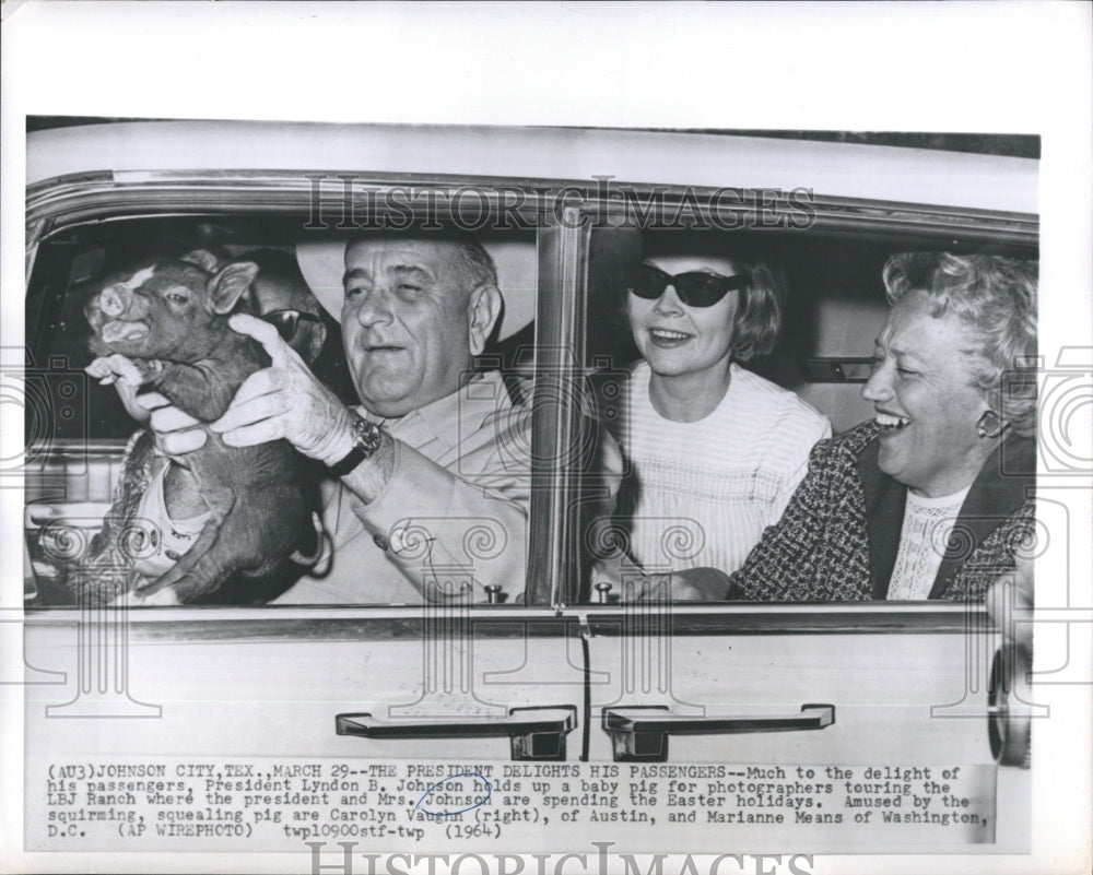 1964 Press Photo President Lyndon B. Johnson Holds Up Baby Pig - RSH04443 - Historic Images