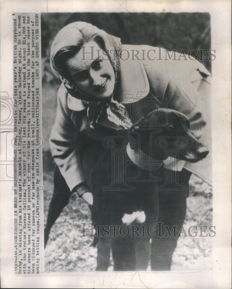 1965 Press Photo Greyhound Missing Of Epping Essex Won Last Six Races - Historic Images