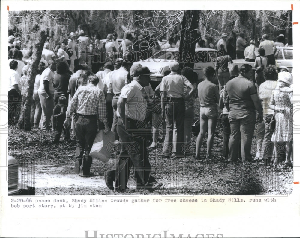 2986 Press Photo Free Cheese Shady Hills - Historic Images