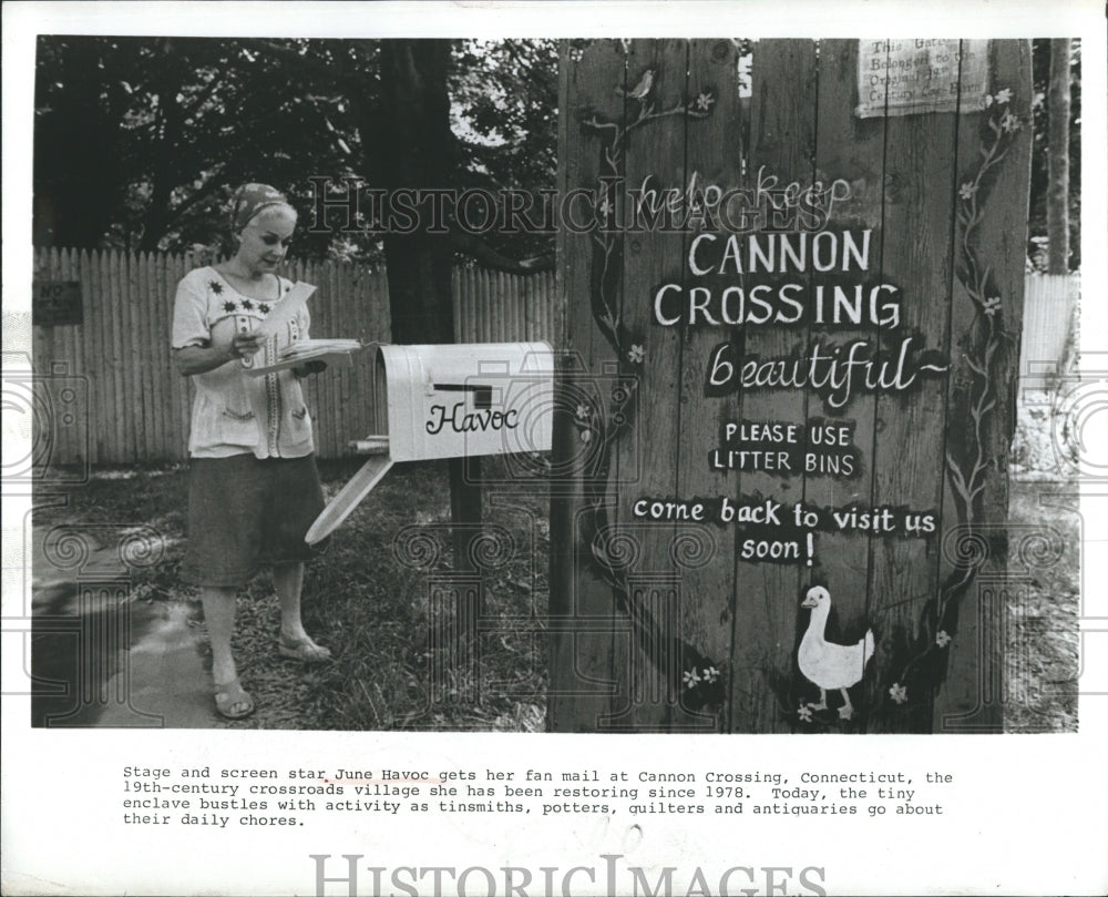 1981 Press Photo June Havoc actress lives in Cannon Crossing, a village she has - Historic Images