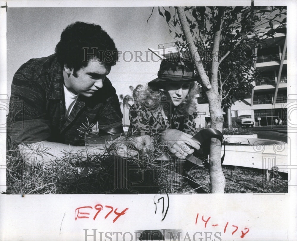 1981 Press Photo Seana Devlin and brother Kevin tie red ribbons around trees for - Historic Images