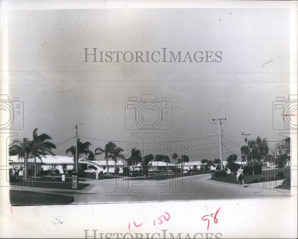 1969 Press Photo Florida Homes Palm Trees Street House - RSH09351 - Historic Images