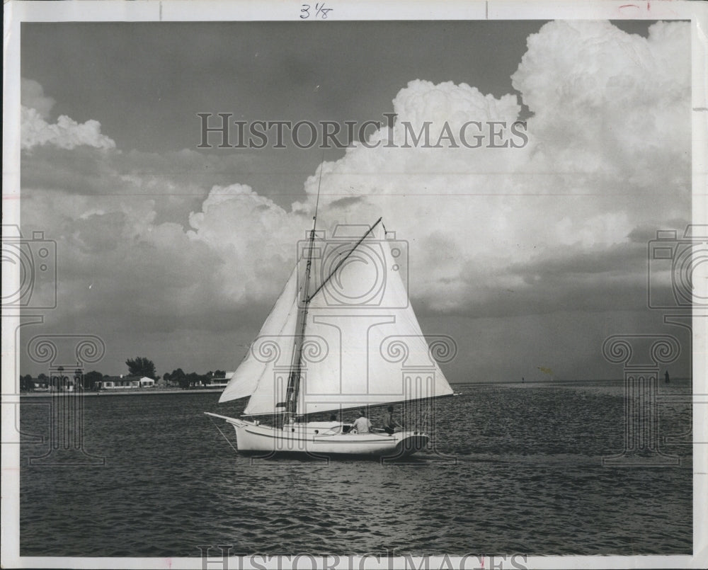 Press Photo Tampa Bay Sailing Scene. - RSH09381 - Historic Images