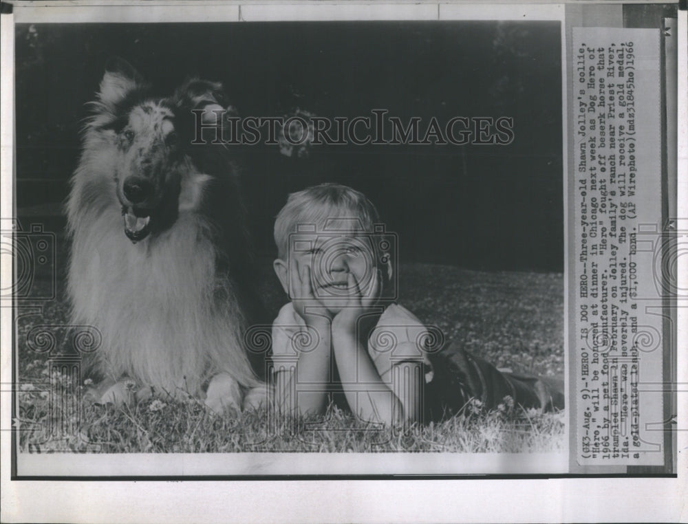 1966 Press Photo Shawn Jolley &amp; Dog Hero Pet Food Manufacturer - Historic Images