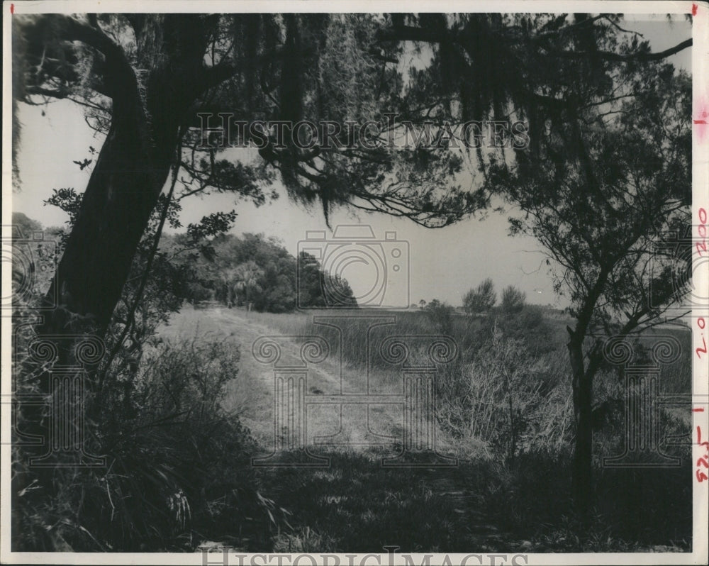 1970 Press Photo Sawgrass Trail Between IslandsTo Hickory Island - RSH09899 - Historic Images