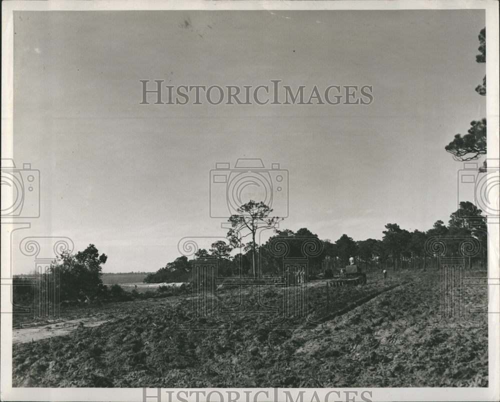 Press Photo Machine Leveling ground for Florida Highway Construction - Historic Images