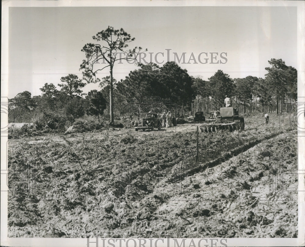 Press Photo 1950's Car And Machine During Florida Construction of State Road - Historic Images