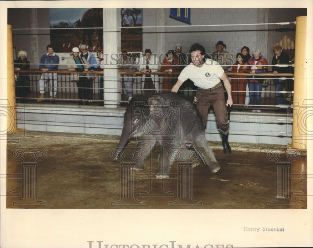 1990 Press Photo Keeper Dan Krawitz Chases 2 Month Old Elephant - RSH10057 - Historic Images