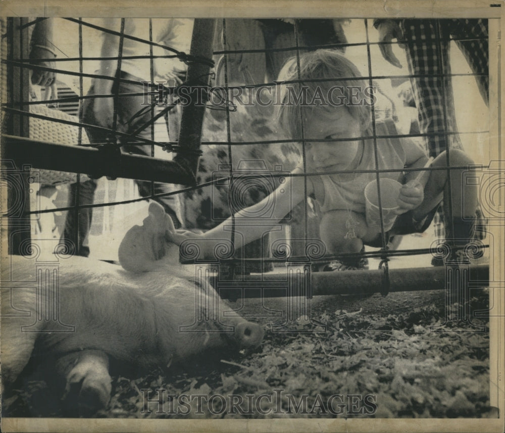 1973 Press Photo Childrens barnyard Minnesota State fair pig - RSH10125 - Historic Images