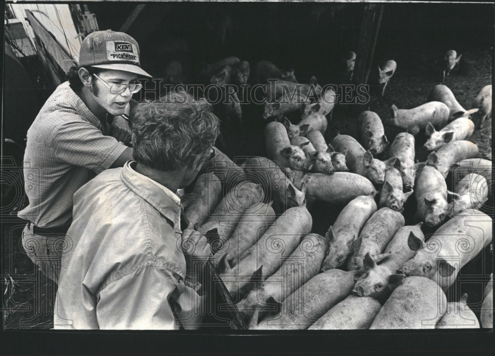 1984 Press Photo Martin Farm Camp Mike Martin Ron Dedert with pigs hogs - Historic Images