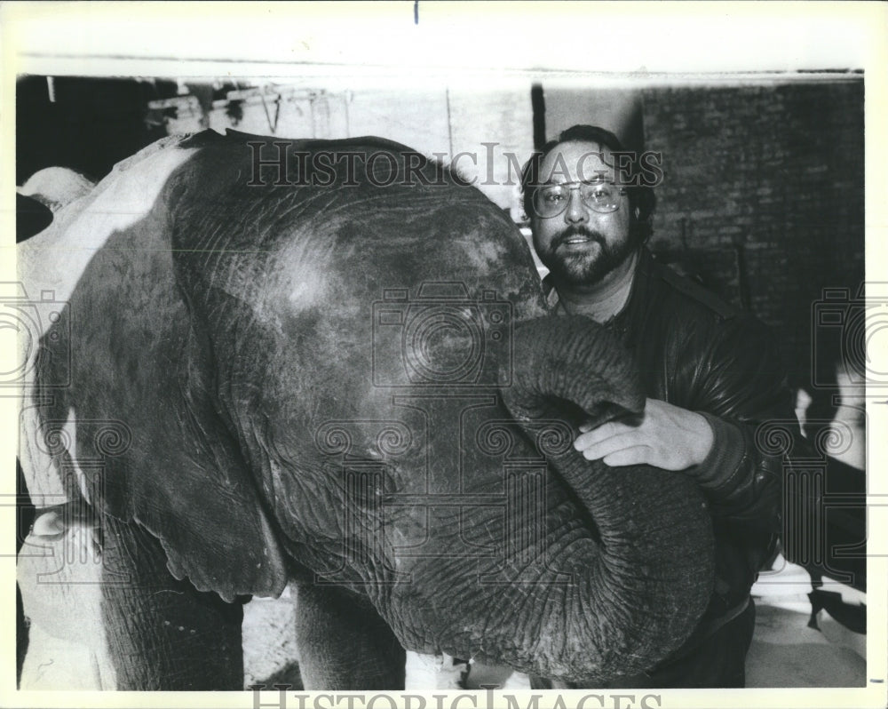 1986 Press Photo Bill Hoffmann With 6 Yr old African Elephant Star Lolo-Chicago - Historic Images