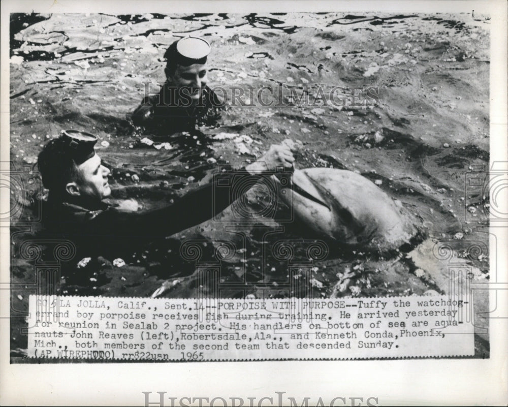 1965 Press Photo Tuffy The Watchdog Receives fish Seal for training - RSH10285 - Historic Images