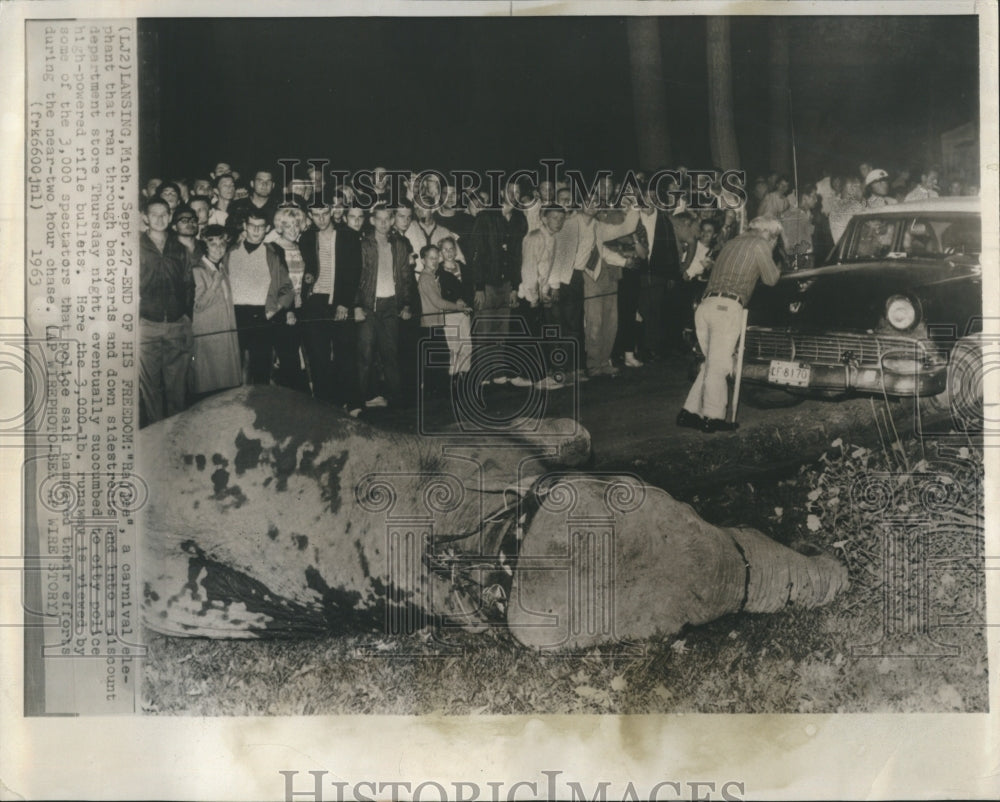 1963 Press Photo Carnival Elephant RaJee Succumbed To Police High Powered Rifles - Historic Images