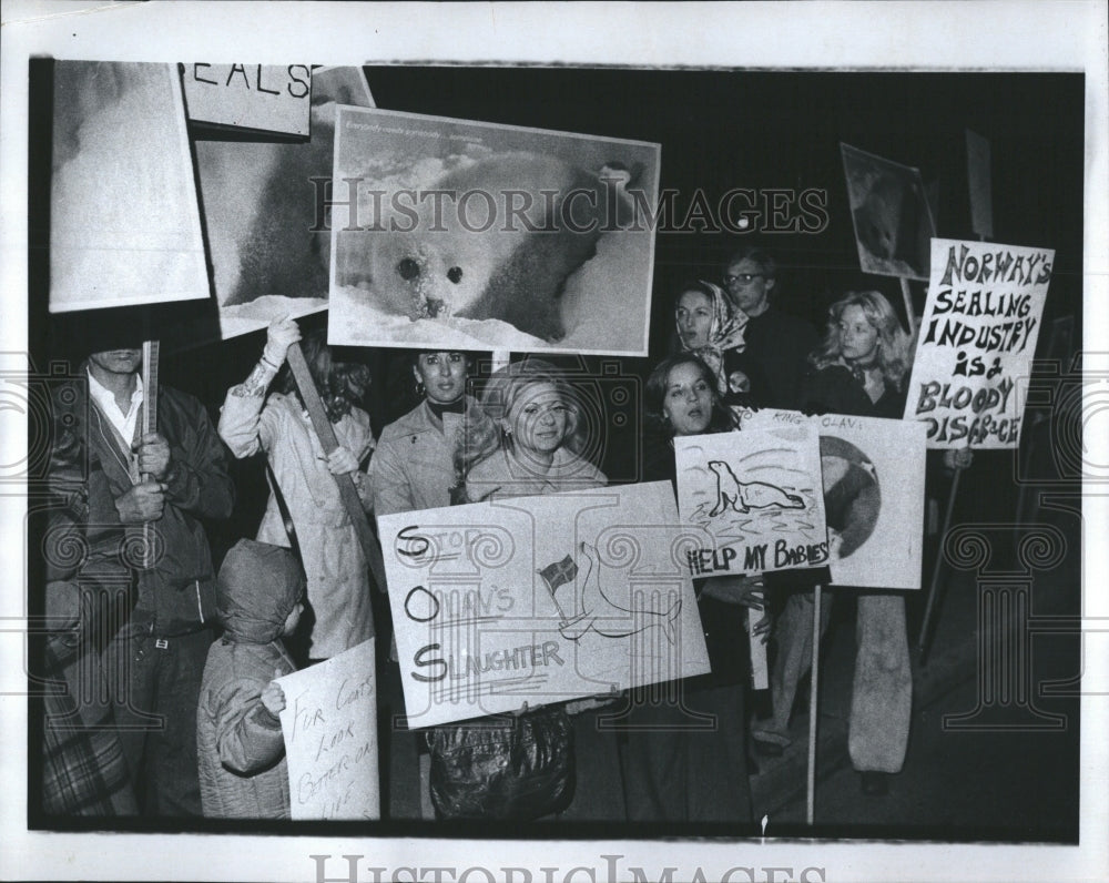 1975 Press Photo Protesters Picket Orchestra Hall About Killing Of Seals - Historic Images