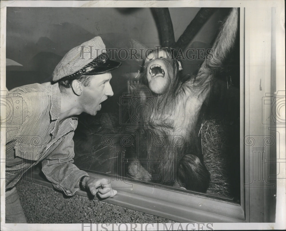 1950 Press Photo Orangutan Named Pieter/Zoo/Vandra/Zookeeper - Historic Images