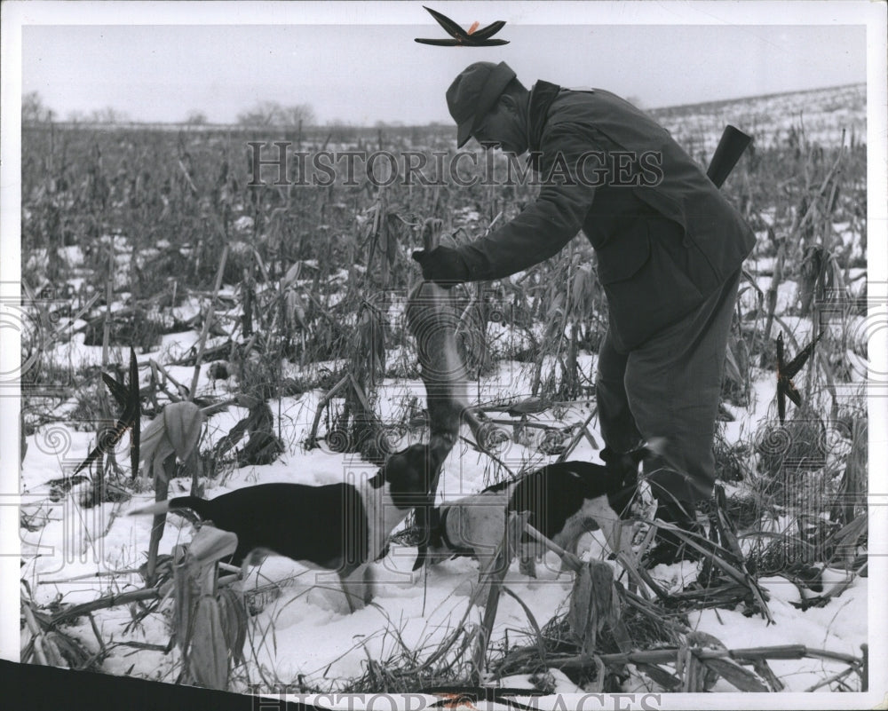 1963 Press Photo Hunting rabbits - RSH10539 - Historic Images