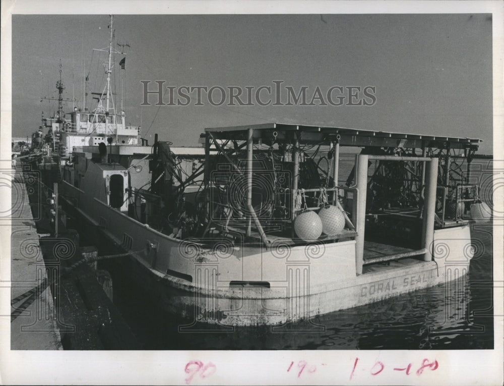 1972 Press Photo Coral Seal Bayboro Harbor. - Historic Images