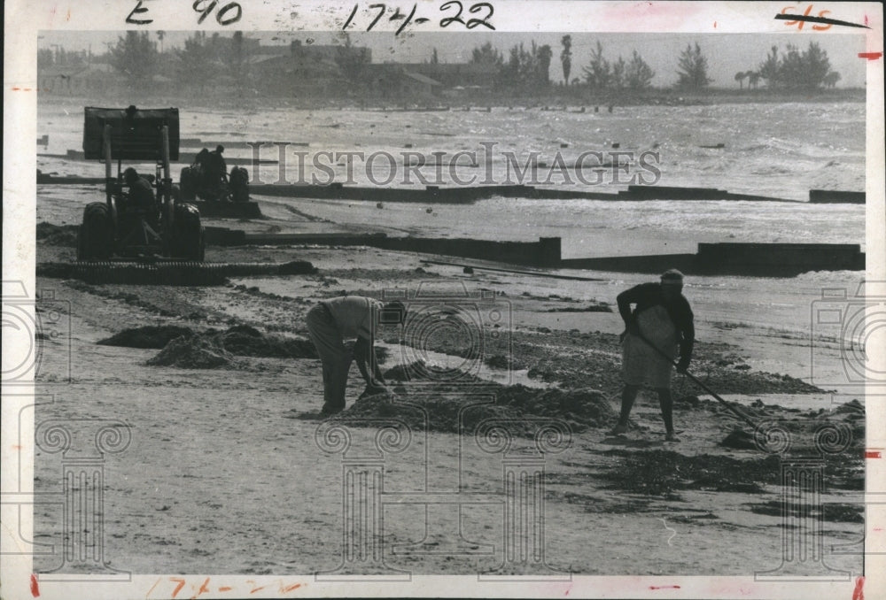 1970 Press Photo Oil Spill Beach Residents Cleanup St. Petersburg - Historic Images