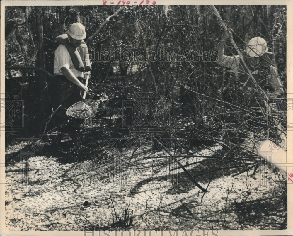 1973 Press Photo Oil Spill Styrofoam-Type Material Removed Bell Branch Creek - Historic Images