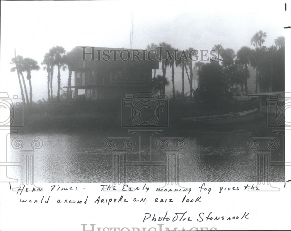 1988 Press Photo Foggy day at Aripeka in Pasco County - RSH11033 - Historic Images