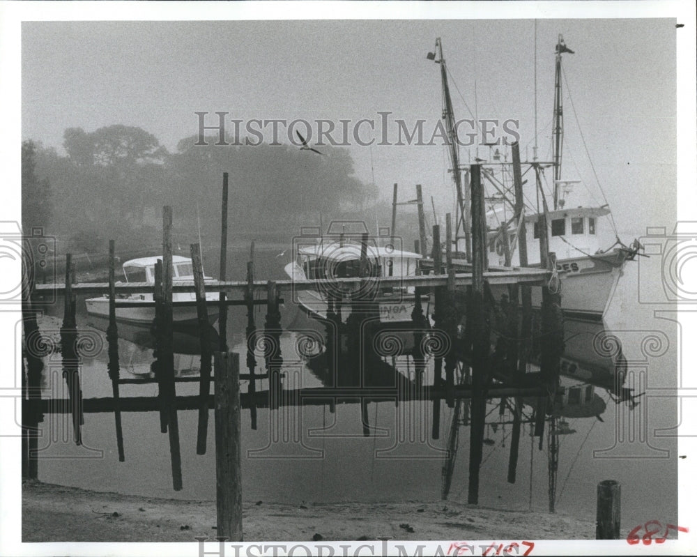 1983 Press Photo Foggy Morning on the Pithlachascotee - Historic Images