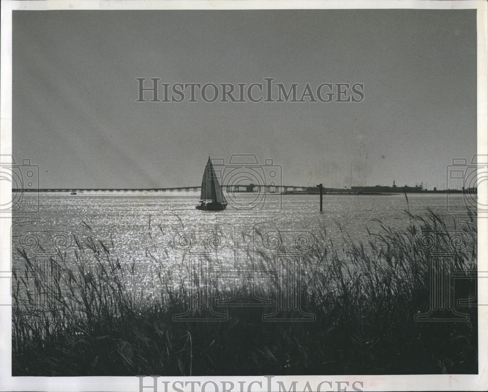 1965 Press Photo Celarwater Beach. - Historic Images