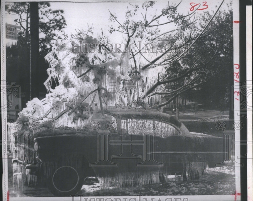 1970 Press Photo Ice covered tree and car in Florida - Historic Images