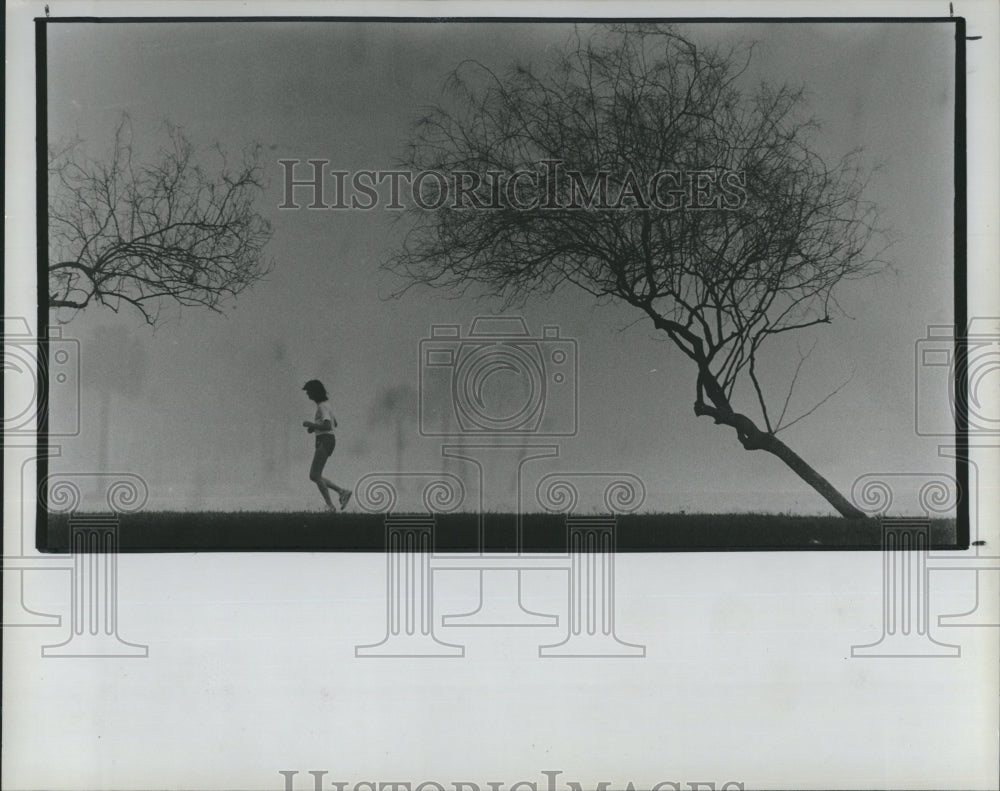 1988 Press Photo A jogger in North Shore Park pads through fog - RSH11467 - Historic Images