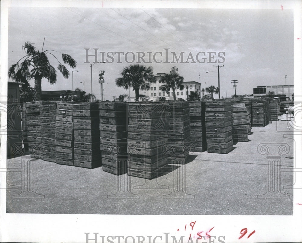 1966 Press Photo Bread Cases outside Winn and Dixie Supermarket. - RSH11503 - Historic Images