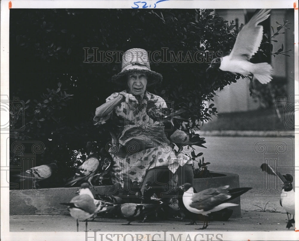 1974 Press Photo Elsie Hohns fed the birds in Mirror lake - RSH11721 - Historic Images