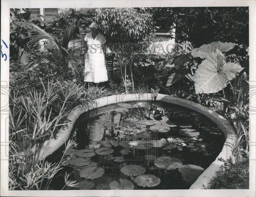 1954 Press Photo Gen. Pershing Hybrid Day Bloomers And Waterlilies Pond - Historic Images