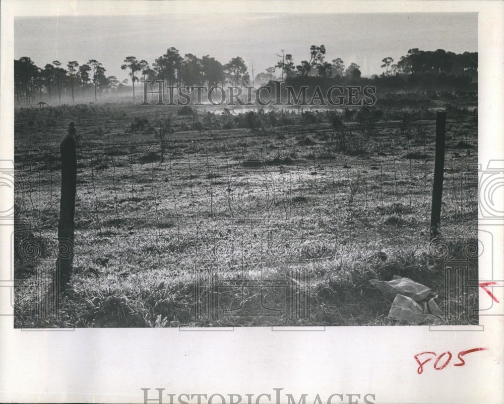 1964 Press Photo mists lifting from a pastoral lake - Historic Images