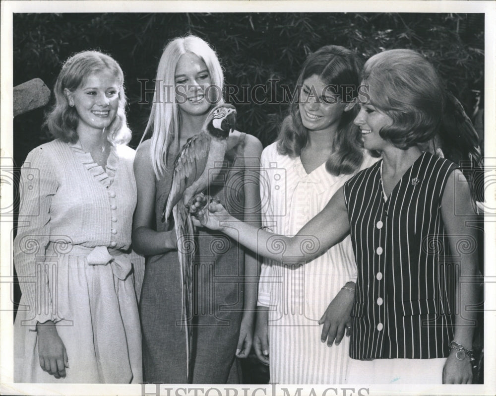 1968 Press Photo Pretty boy the Macaw is the Mascot for up and coming - Historic Images