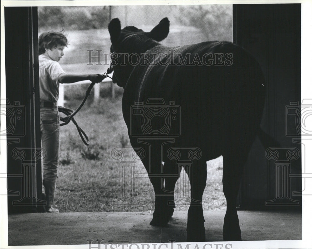 1980 Press Photo Keith Watson with his Bull - RSH13181 - Historic Images