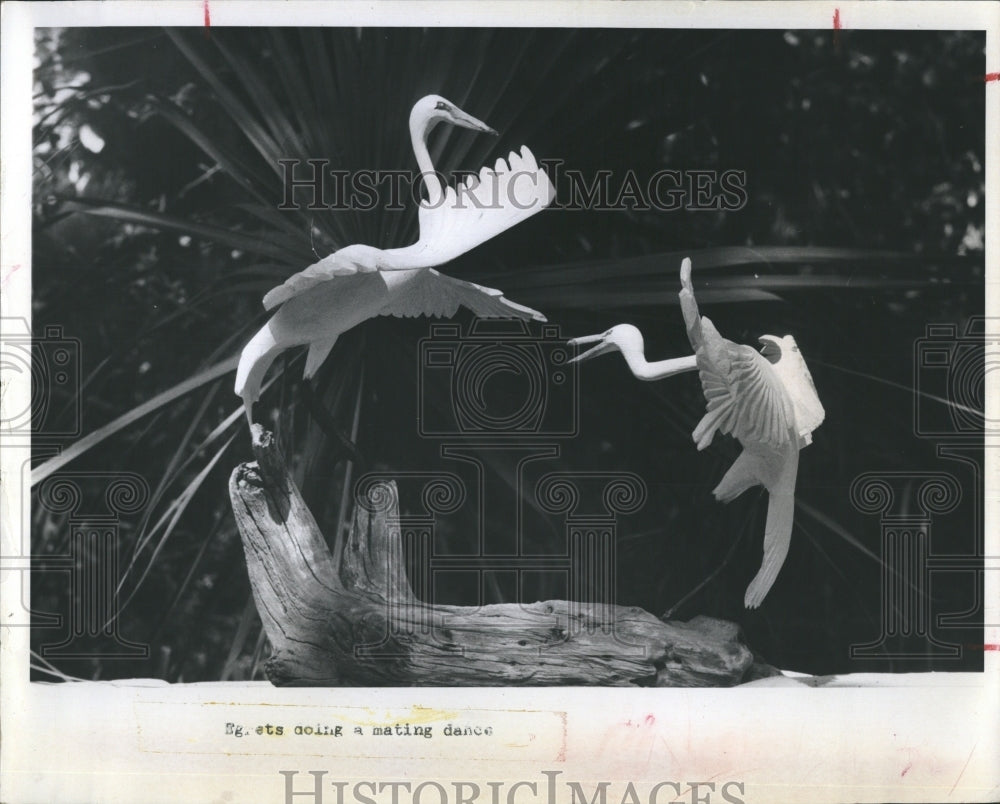 1971 Press Photo Carving Howard Ferguson Egrets Art Mating Dance - Historic Images