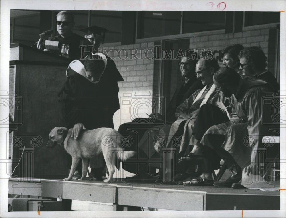 1971 Dog walks across stage at Presbyterian College graduation-Historic Images